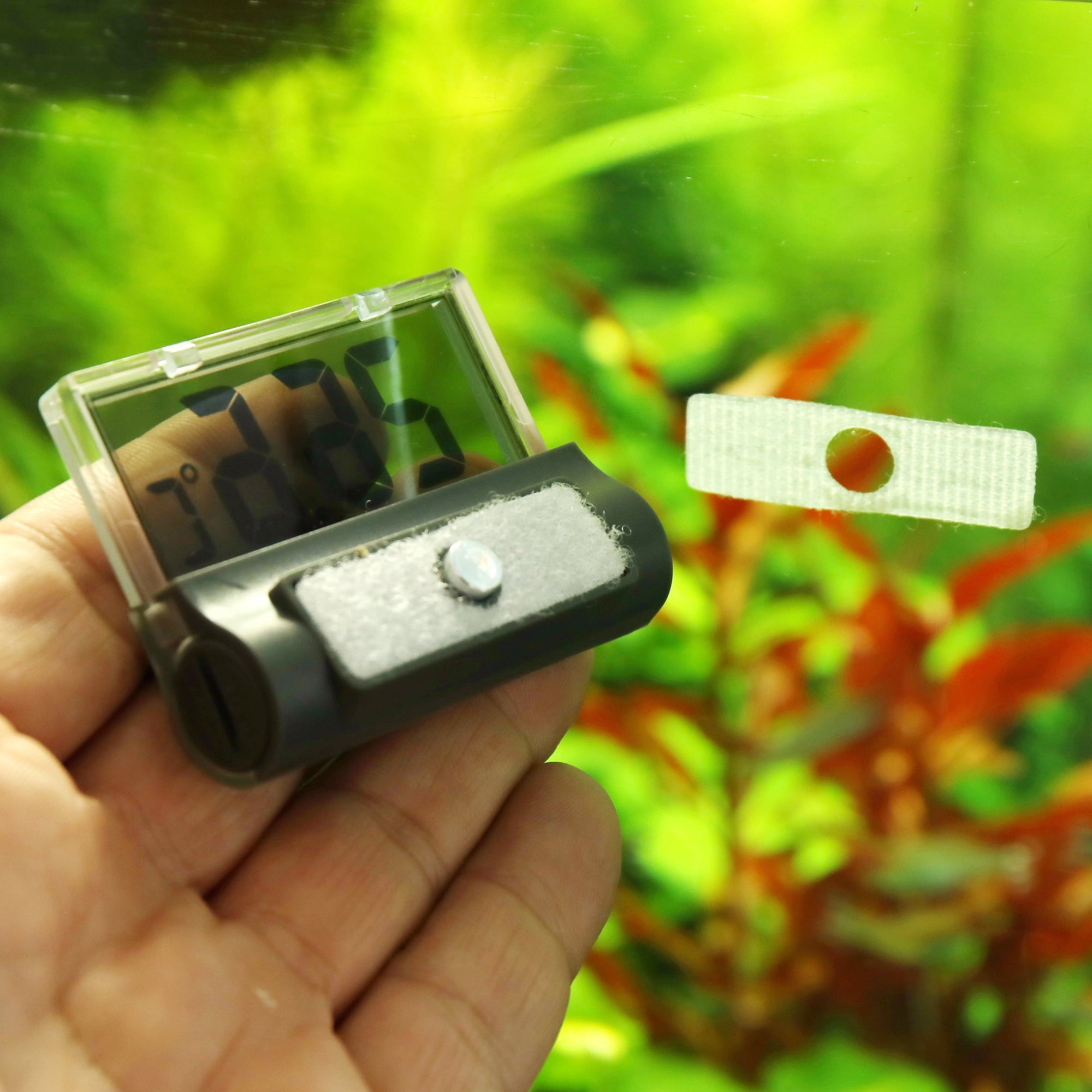 JBL Thermomètre d'aquarium DigiScan - DigiScan