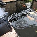 JBL ProPond Autofood - 1 pcs