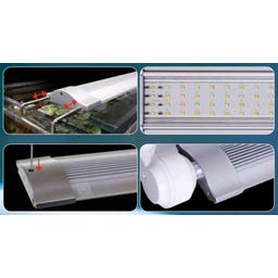 JBL LED SOLAR NATUR - 22 Watt - 438mm