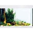 Oase StyleLine 175 Aquarium - white
