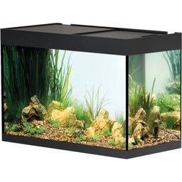 Oase Acquario StyleLine 175 - Nero