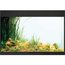 Oase Acquario StyleLine 175 - Nero