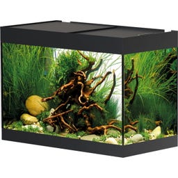 Oase StyleLine 125 Aquarium - schwarz