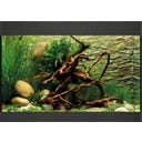 Oase StyleLine 125 Aquarium - schwarz