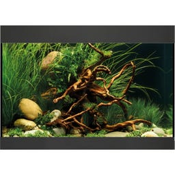 Oase StyleLine 125 Aquarium - schwarz