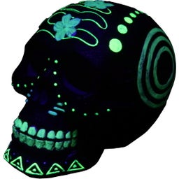 Europet DIA DE LOS MUERTOS - Skull 4