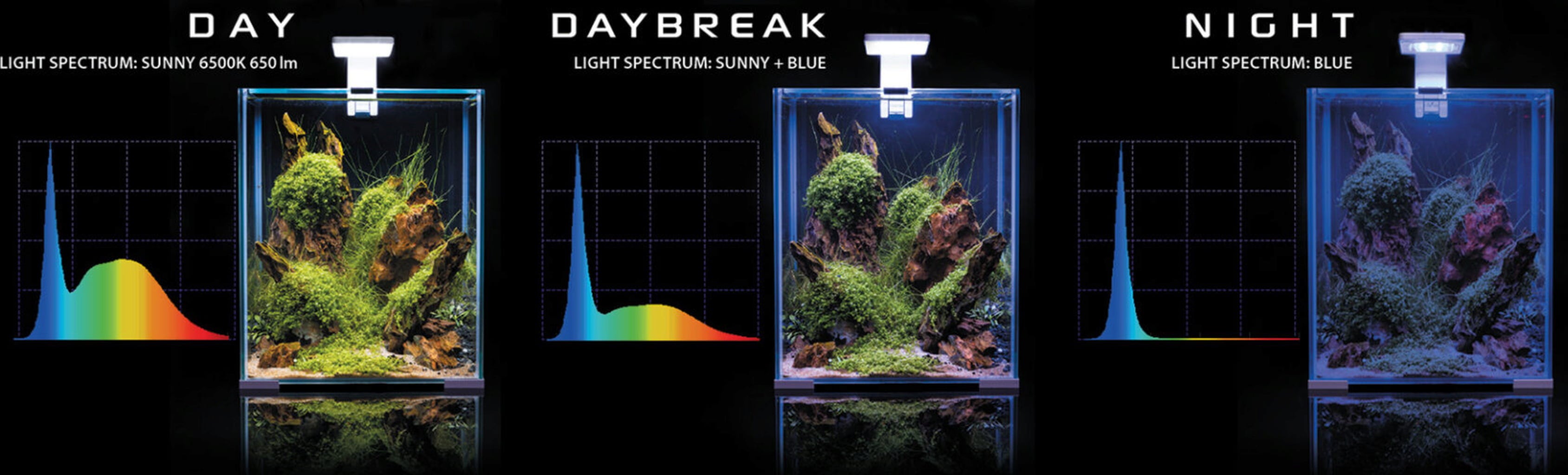 Aquael Shrimp Set Day & Night 20