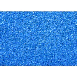 Papillon Filter Foam Blue 50 x 50 x 3cm - Rough