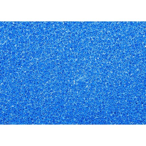 Papillon Filterschaum blau 50x50x3 cm - grob