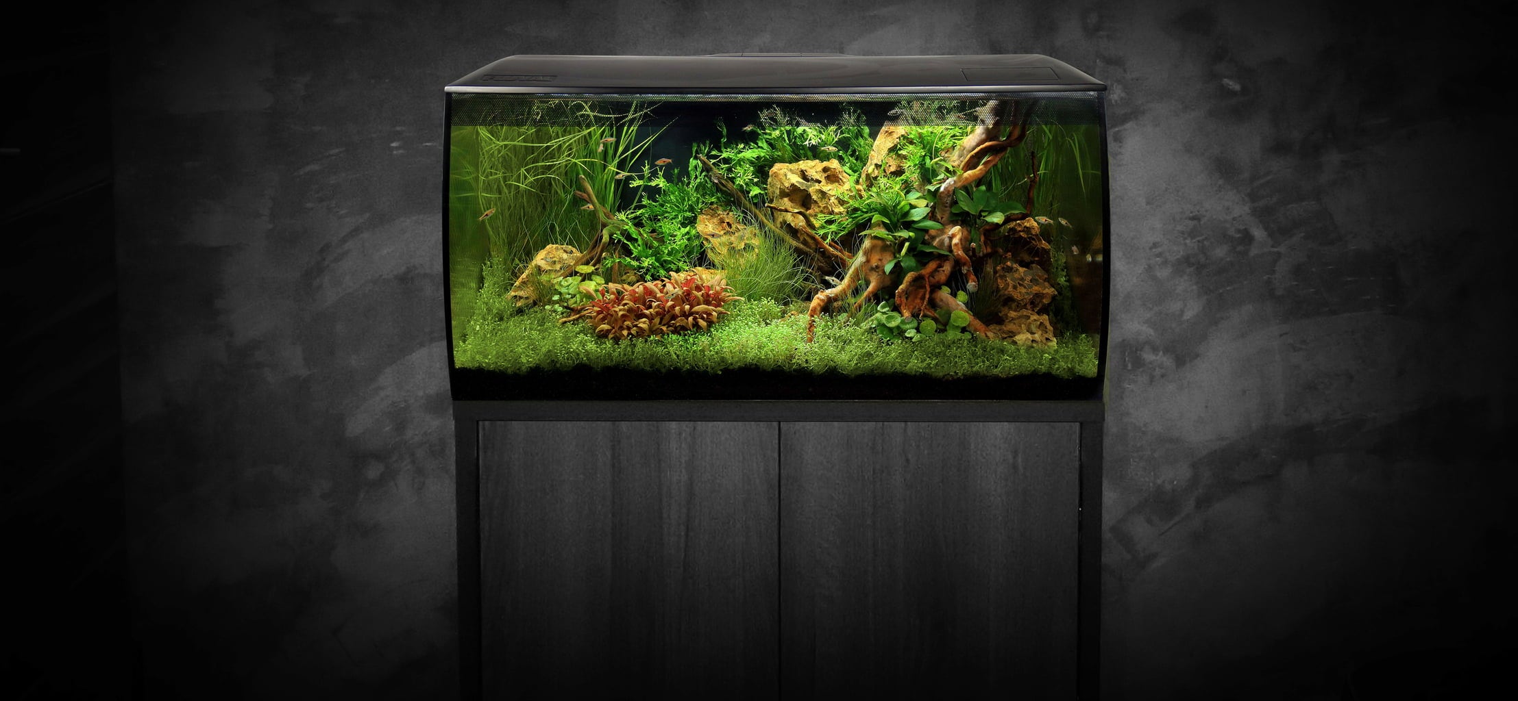 Fluval Aquarium FLEX 123 Litres - Noir
