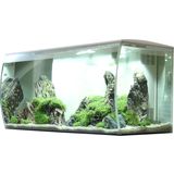 Fluval FLEX Aquarium Set 123 Liter