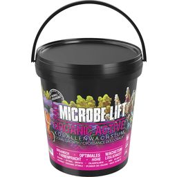 Microbe-Lift Organic Active Salt - 20k g