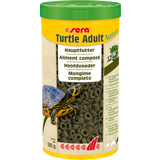 Sera Turtle Adult Nature