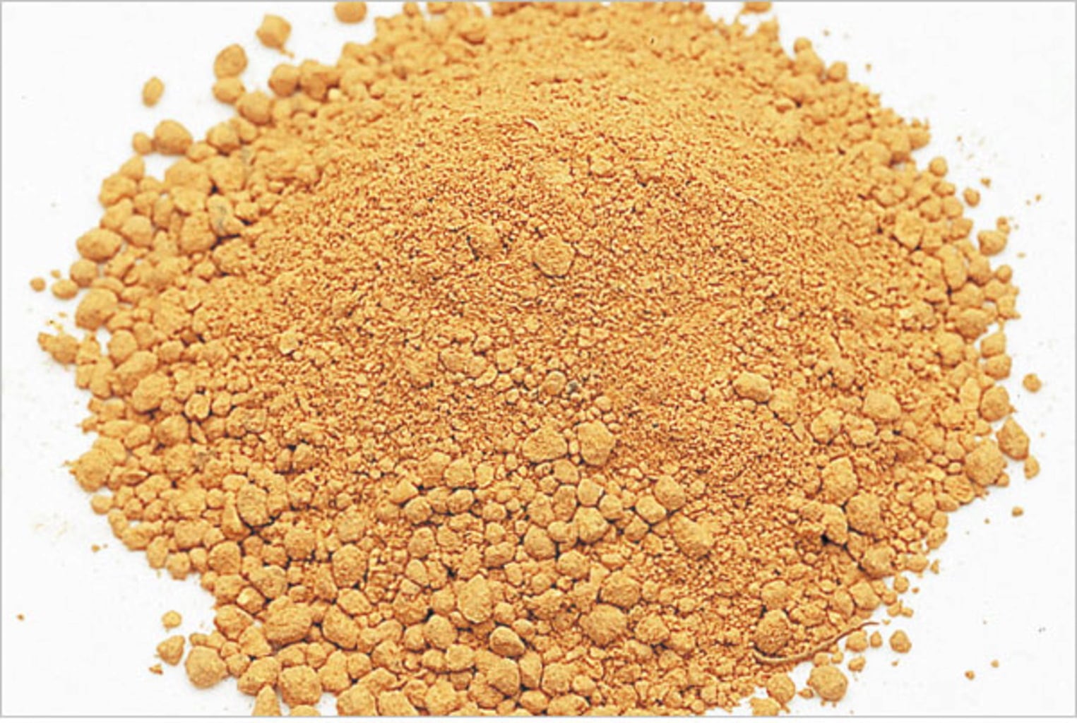ADA Bacter 100 - 100 g