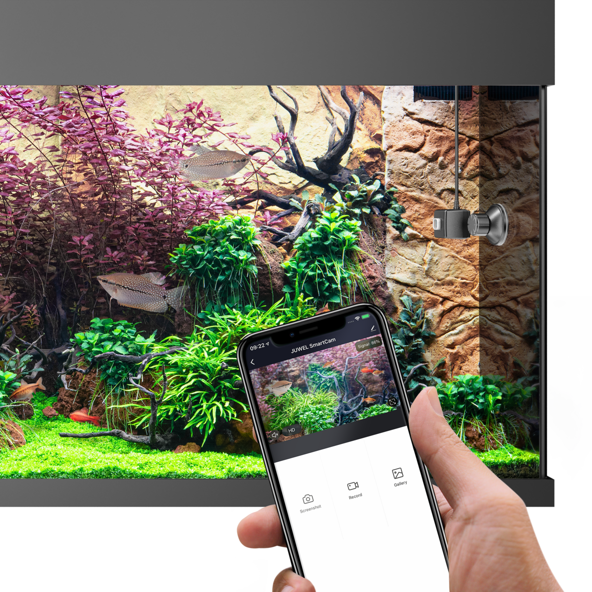 Juwel SmartCam - 1 Stk