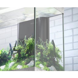 Aquatlantis Splendid Ultra 145 Combination - Black