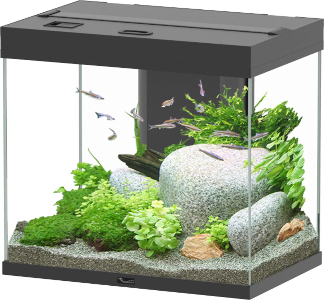 Aquatlantis Splendid Ultra 110 Schwarz Aquarium - 1 Stk