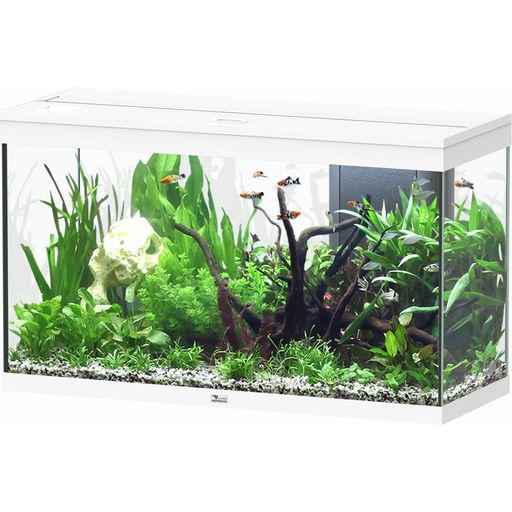 Aquatlantis Splendid 200 wit aquarium - 1 stuk