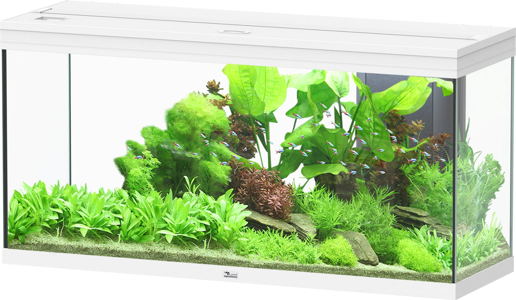 Aquatlantis Acquario - Splendid Ultra 240 Bianco
