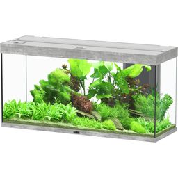 Aquatlantis Splendid 240 steenlook aquarium - 1 stuk