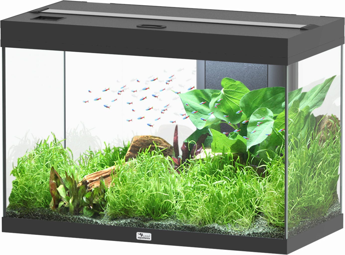Aquatlantis Splendid Ultra 145 Schwarz Aquarium - 1 Stk