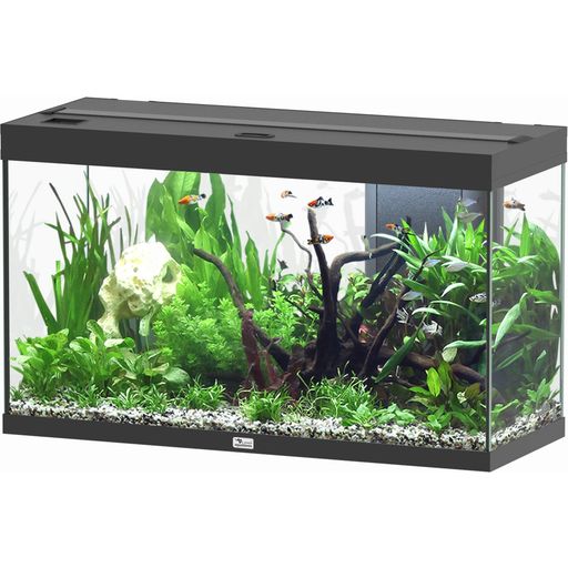 Aquatlantis Aquarium Splendid 200 - Noir - 1 pcs