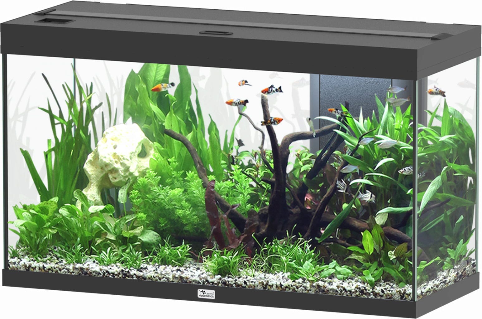 Aquatlantis Splendid Ultra 200 Schwarz Aquarium - 1 Stk