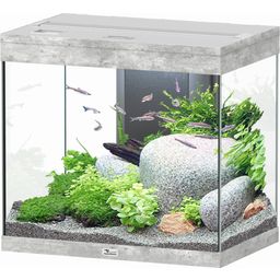 Aquatlantis Splendid 110 Stone-Look Aquarium - 1 Pc
