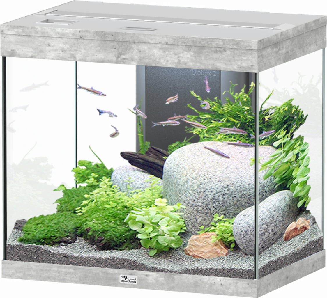 Aquatlantis Splendid Ultra 110 Steinoptik Aquarium - 1 Stk