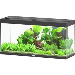 Aquatlantis Aquarium Splendid 240 - Noir