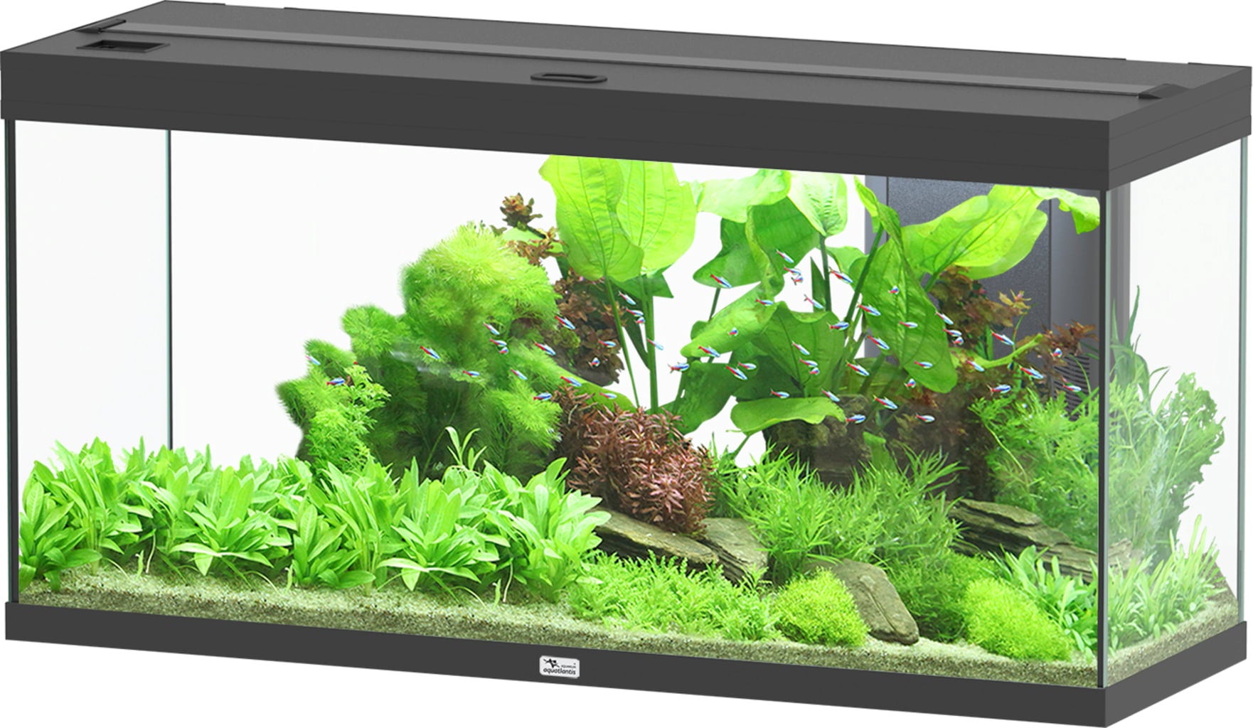 Aquatlantis Acquario - Splendid Ultra 240 Nero
