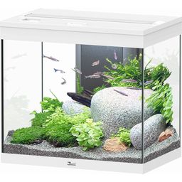 Aquatlantis Aquarium Splendid 110 - Blanc