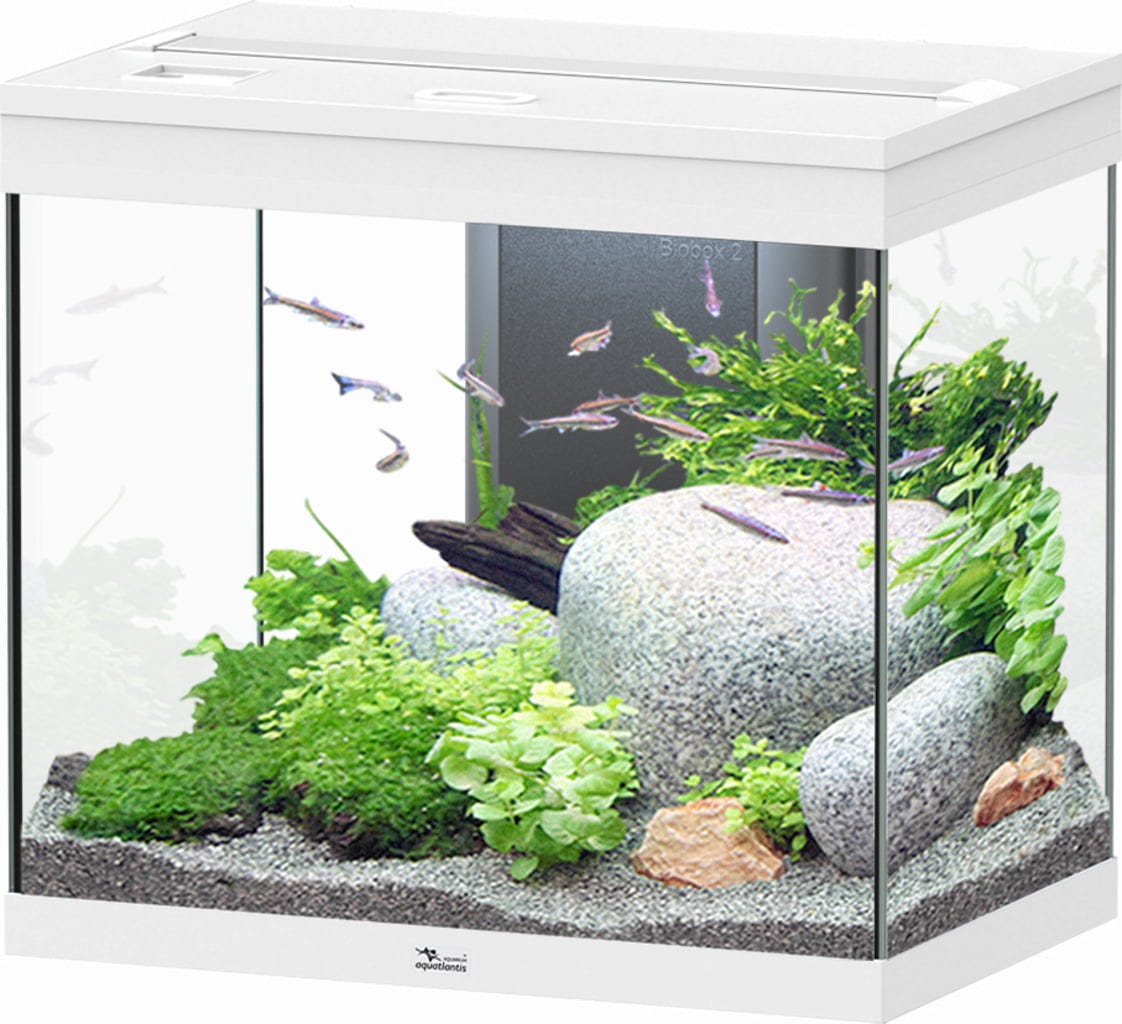 Aquatlantis Splendid Ultra 110 Weiß Aquarium - 1 Stk