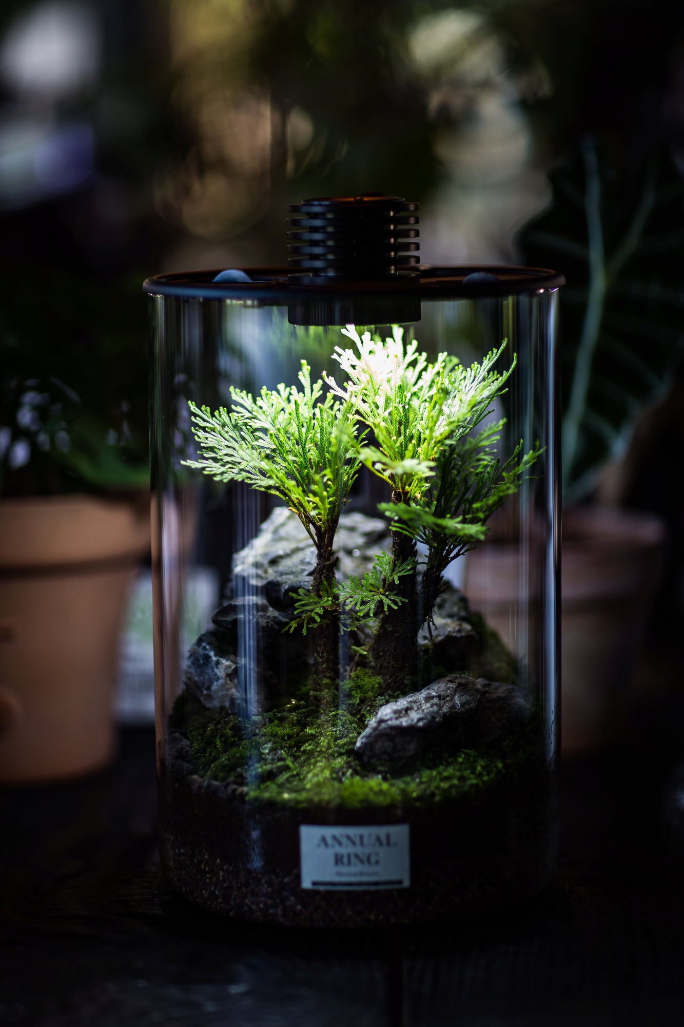 Bioloark Bio Bottle Modelo ZD
