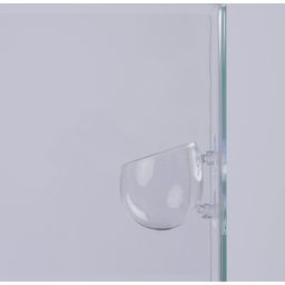 Papillon Glass Cup - 1 Pc
