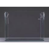 Papillon Glass Inlet/Outlet R+S