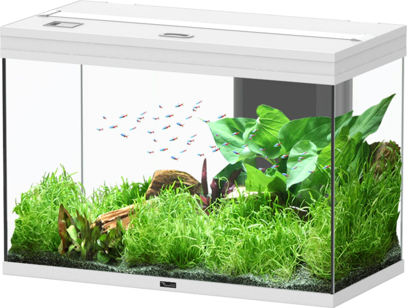 Aquatlantis Splendid Ultra 145 Weiß Aquarium - 1 Stk
