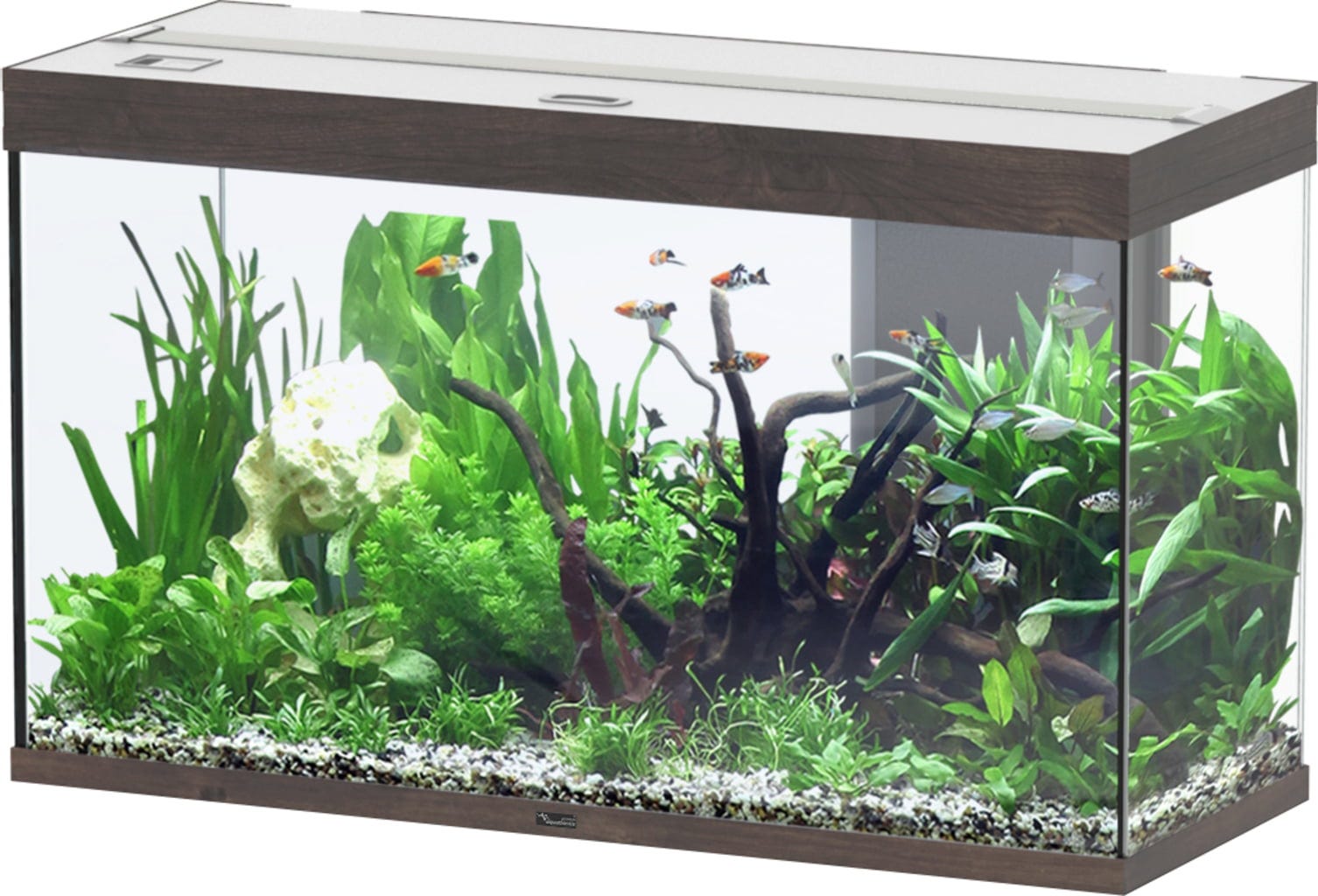 Aquatlantis Splendid Ultra 200 Wildeiche Dunkel Aquarium - 1 Stk