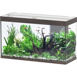 Aquatlantis Splendid 240 Wild Oak Dark Aquarium - 1 Pc