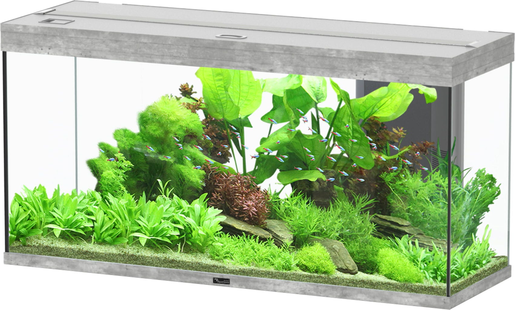 Aquatlantis Splendid 145 Steinoptik Aquarium - 1 Stk
