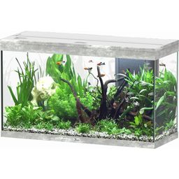 Aquatlantis Aquarium Splendid 240 - Frêne Blanc