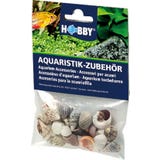 Hobby Sea Shells Set