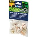 Hobby Sea Shells Set - medium