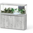 Aquarium Splendid 300 avec Meuble - Frêne Blanc - 1 Set