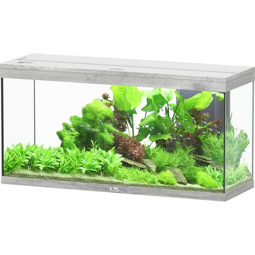 Aquatlantis Aquarium Splendid 145 - Frêne Blanc - 1 kit