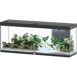 Aquatlantis Splendid 300 akvarij - crni - 1 set
