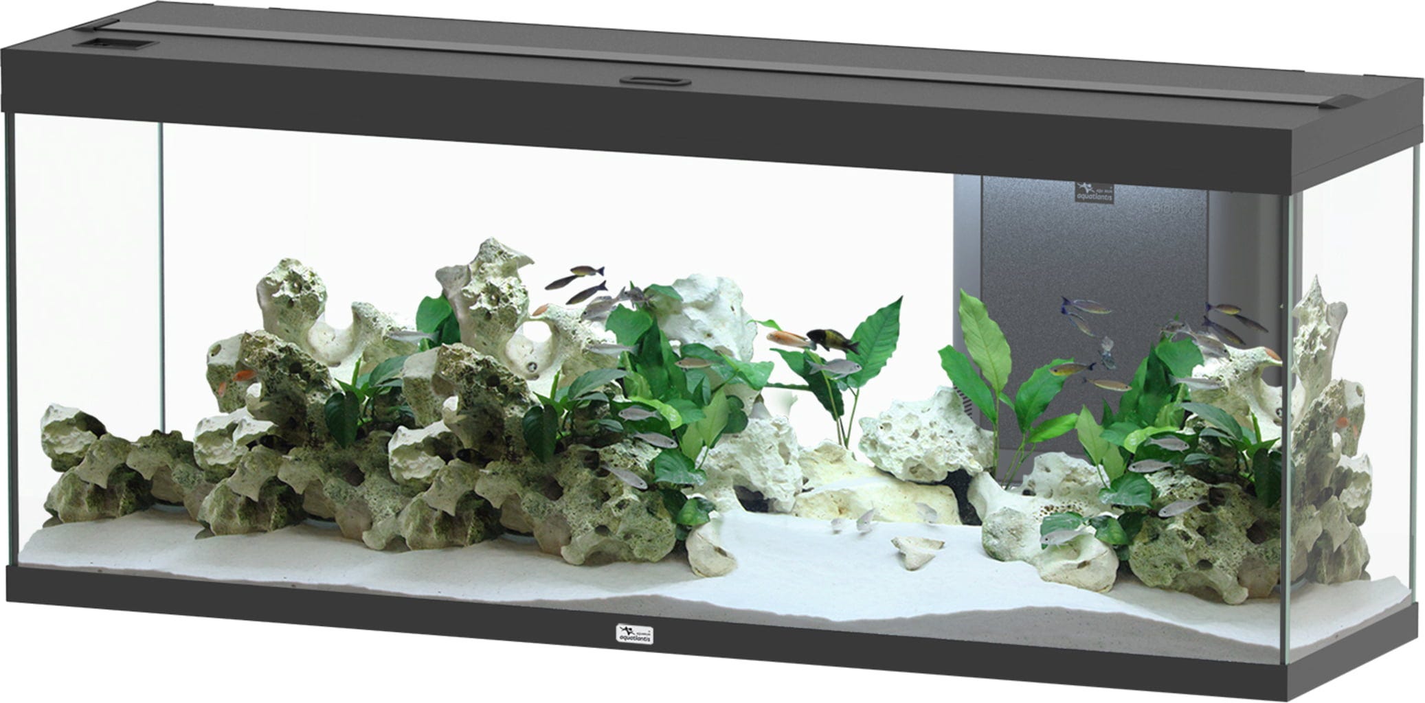 Aquatlantis Splendid 300 Schwarz Aquarium - 1 Set