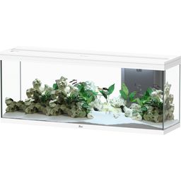 Aquatlantis Aquarium Splendid 300 - Blanc - 1 kit