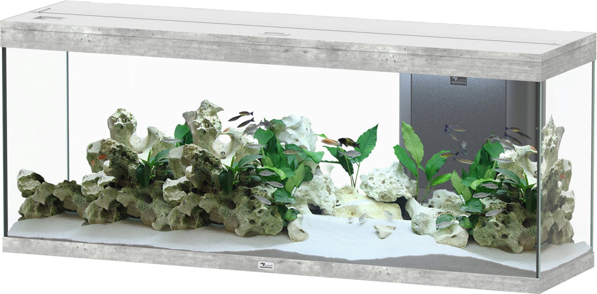 Aquatlantis Splendid 300 Steinoptik Aquarium - 1 Set