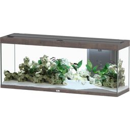 Aquatlantis Splendid 300 Wild Oak Dark Aquarium - 1 set